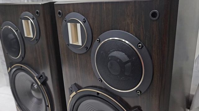 Pioneer S-9500dv