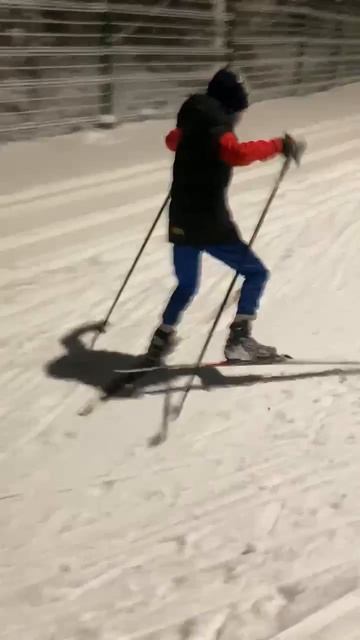 коньковый ход .....