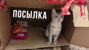 Распаковка посылки от меня для родителей в Курск