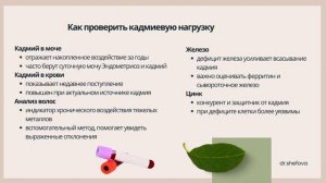 «Эндометриоз и кадмий. Влияние токсической нагрузки на женское здоровье»
