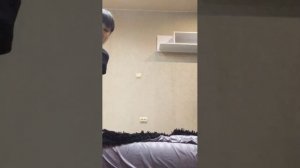 создали бит