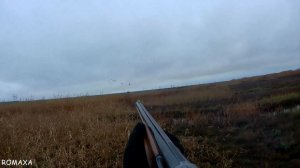 ОХОТА НА УТКУ. На новом месте.