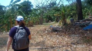 Смоленск Пхукет март 2025