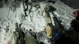 РЫБАЛКА С ПЕСЦОМ | ПЕРЕМЕТ | ПРОВЕРКА 24.12.2025