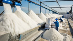 Как производят морскую соль, миллионы тонн.