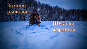 Щука на жерлицы