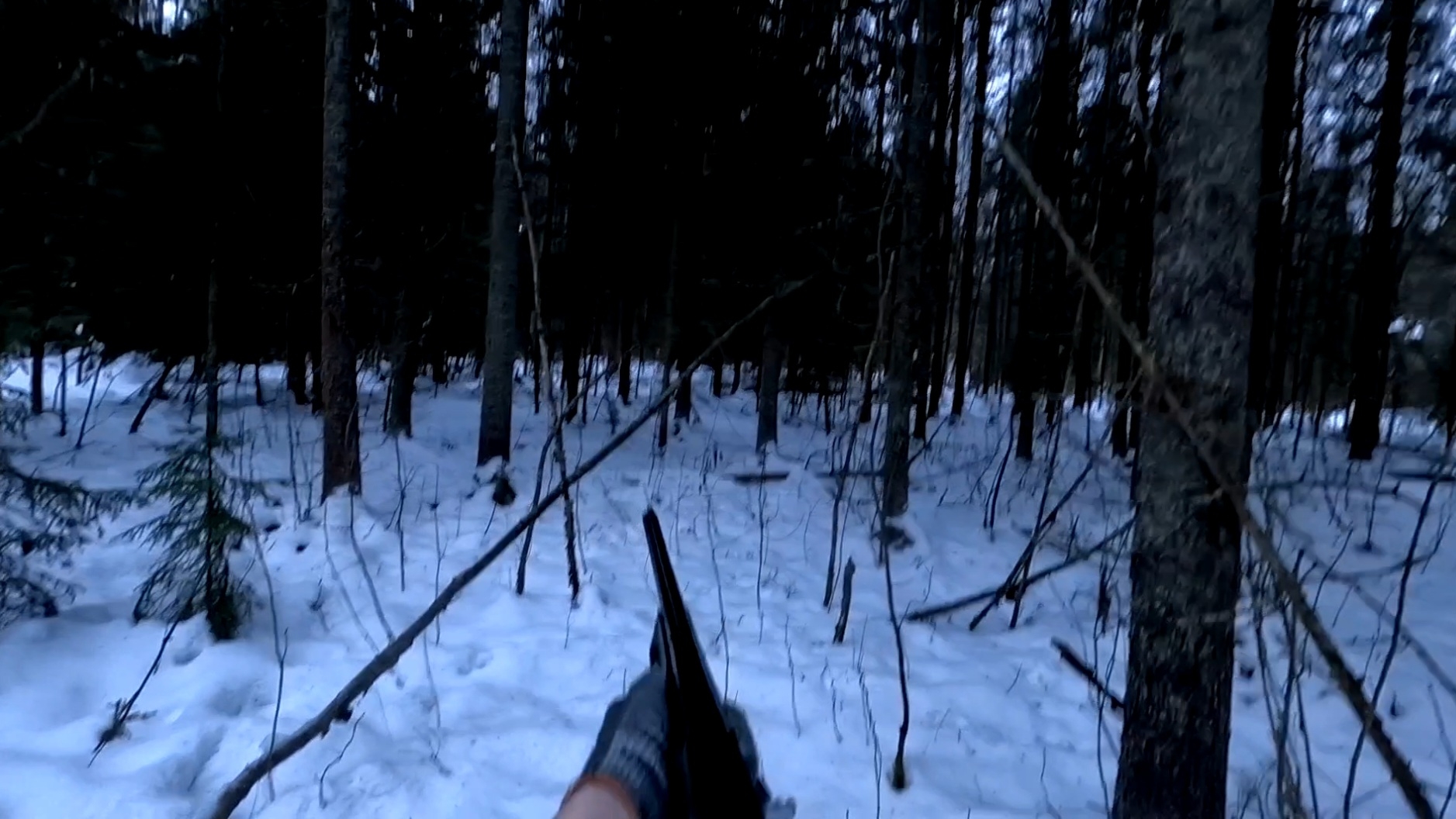 ОХОТА НА ЗАЙЦА БЕЛЯКА В ОТТЕПЕЛЬ С ГОНЧЕЙ! МАТЁРЫЙ ЗАЯЦ! смотреть онлайн