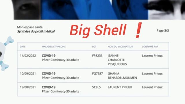 Pfizer 🇺🇸🇪🇺 V.S Big Shell🏭🇷🇺🇨🇳🇰🇵🇫🇷.