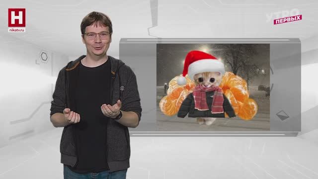 Загнанная лошадь | ПСИХПРОСВЕТ