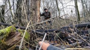 36. Поездка на трицикле за чагой перешла в простую прогулку.