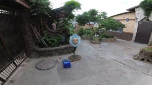 оформление усадьбы 30  лет  спустя что стало с декоративной штукатуркой.беседка цветочник забор.