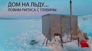 Эта ПРИМАНКА для РИПУСА Действует 100%"  Рыбалка в Тёплой Будке на льду 2025 в Декабре Со ЛЬДА!!!