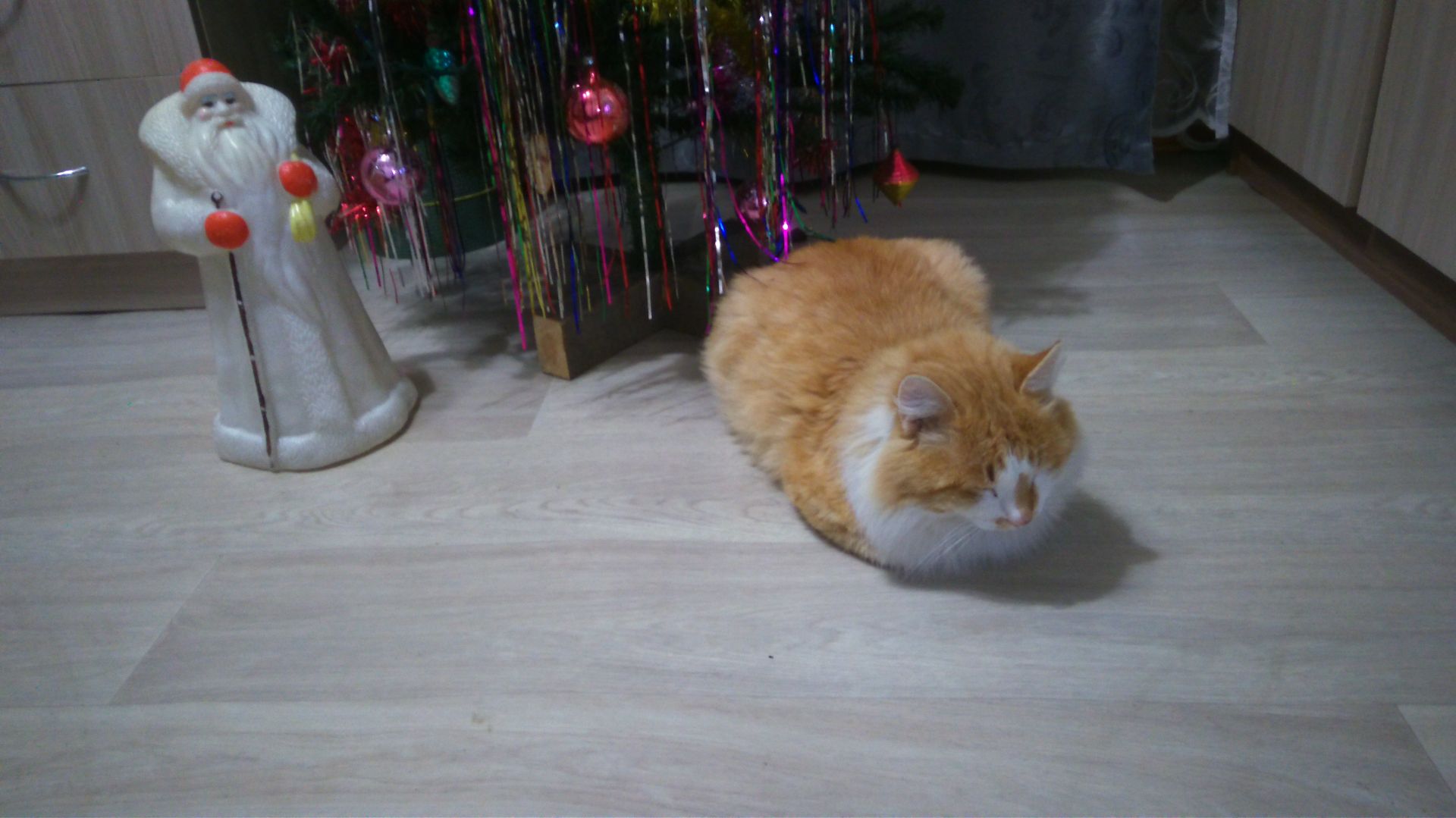 Потянулись долгие, серые, кошачьи будни. Скучно коту Степке без летних гулянок.