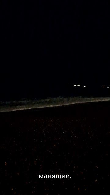 Ночная жизнь моря тайна или обыденность?