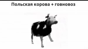 говновоз×польская корова