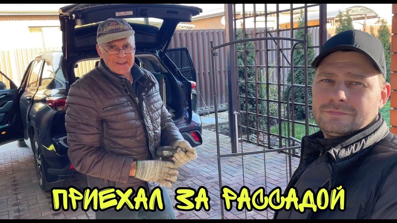 ВЛОГ! Накопал ХВОЙНЫХ РАСТЕНИЙ БУДЕМ САЖАТЬ! Как живёт семья из России! смотреть онлайн