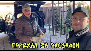 ВЛОГ! Накопал ХВОЙНЫХ РАСТЕНИЙ   БУДЕМ САЖАТЬ! Как живёт семья из России!