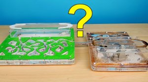 Великое переселение муравьев Жнецов!  Все оказалось не так просто! alex boyko