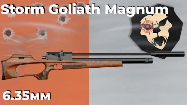 Пневматическая винтовка Storm Goliath Magnum 6.35 мм