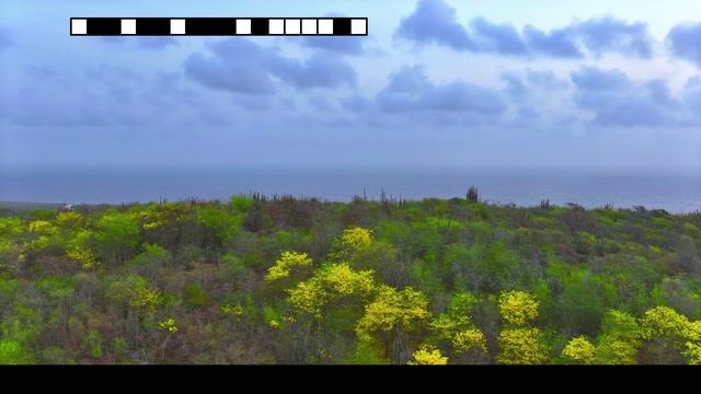 Fantastic_places_fhd.30fps.rutube-test-2