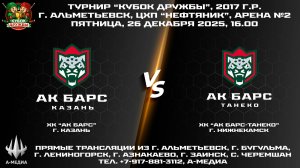 26.12.2025г., ХК "АК БАРС" (г. Казань) - ХК "АК БАРС-ТАНЕКО" (г. Нижнекамск)
