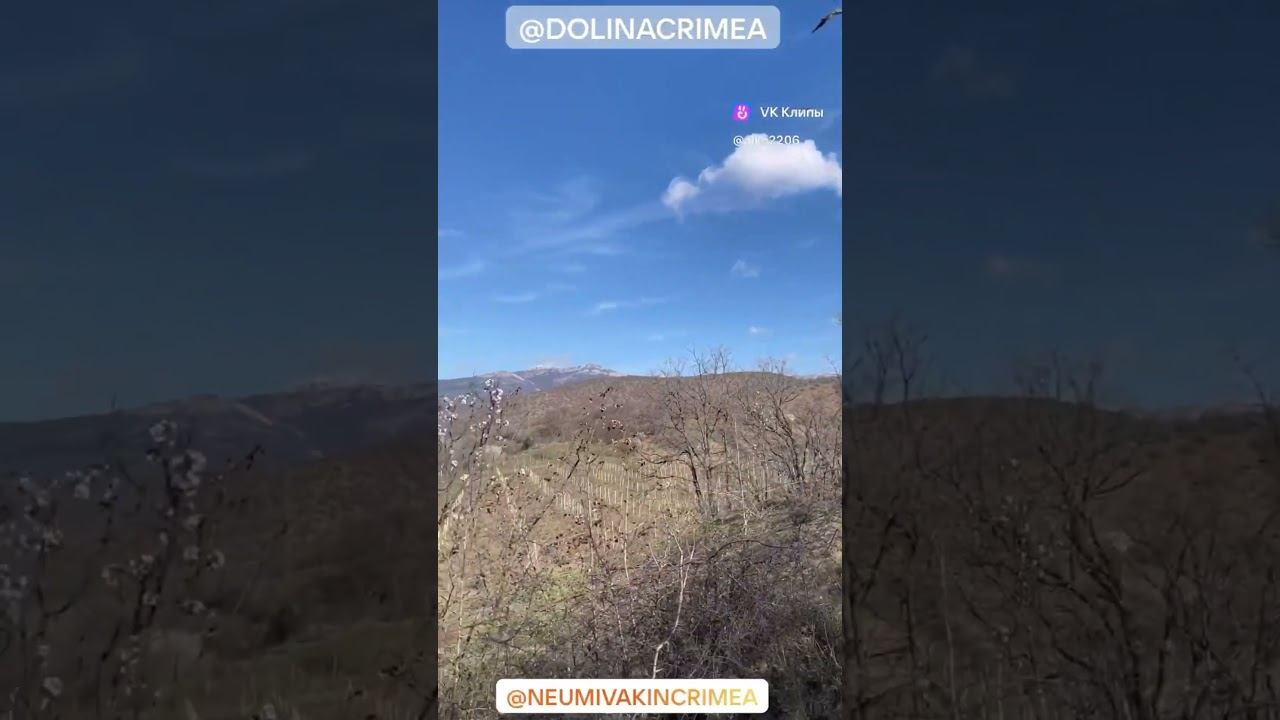 Пролетели 10 дней в Крымский Центр Оздоровления Неумывакина Но надеюсь, что еще увидимся ! смотреть онлайн