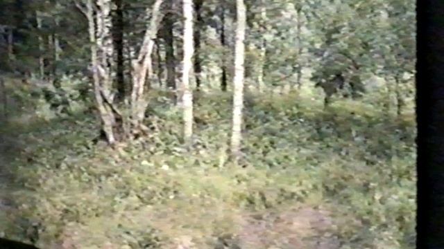 Расселение славян на Северо - Западе Русской равнины в I  тысячелетии нашей эры Заседание КНТ РГО