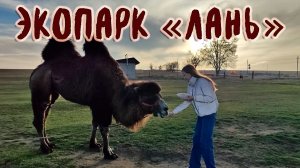 ЭКОПАРК "ЛАНЬ" В КАРАЧАЕВО-ЧЕРКЕСИИ