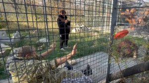 Кинула колесом в любимого папу! Дана долго не сердится, обиделась и помирилась!