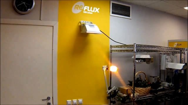 ДНаЗ Reflux ГОЛЫМИ РУКАМИ: ВКРУЧИВАЕМ и ТЕСТИРУЕМ! Взрыв или РАБОТАЕТ?!