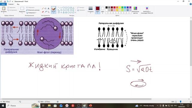 Клеточная биофизика-Часть 1