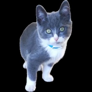 Таисия карамелька