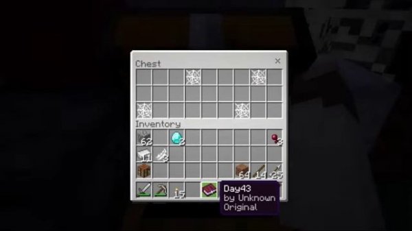 the one who watches addon