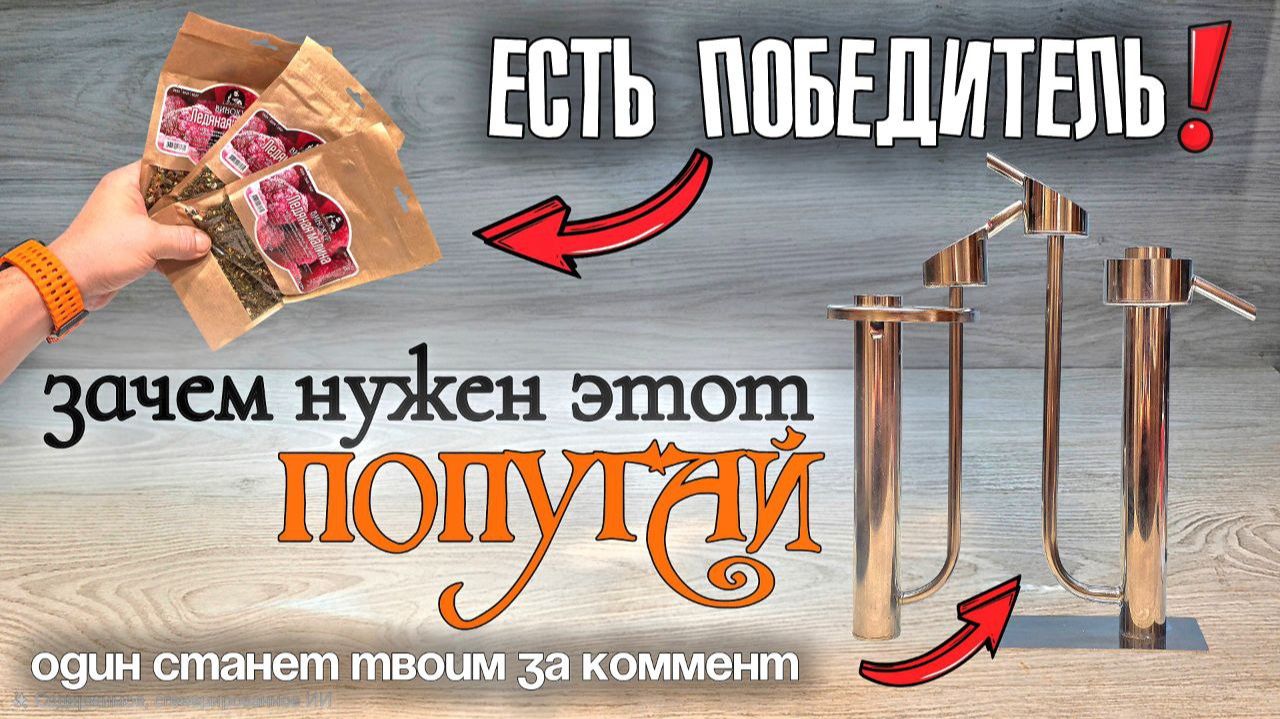 ПОПУГАЙ - Необходимость или Блажь ? | Новый розыгрыш на ЮТУБЕ и итоги старого ! смотреть онлайн