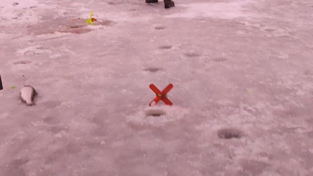 Основной водоём. Форель на резину. смотреть онлайн