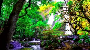 🌿 Фантастическая лесная атмосфера, красивые горные водопады и щебетание птиц.