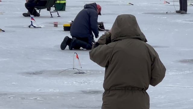 Поимки на поставушки. смотреть онлайн