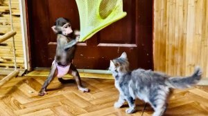 Очень ИНТЕРЕСНОЕ видео, посмотрите как Анфиса добивается своего)))