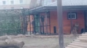 TMJH0618 Шархан 25.12.2025 Видео от Ивана