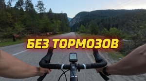 75КМ ВНИЗ: ДОРОГА С ГОРЫ К МОРЮ | озеро РИЦА, АБХАЗИЯ