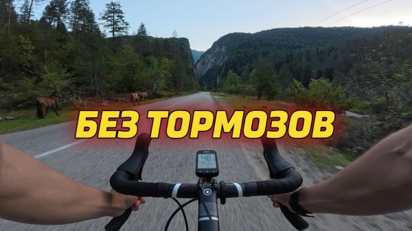 75КМ ВНИЗ: ДОРОГА С ГОРЫ К МОРЮ | озеро РИЦА, АБХАЗИЯ