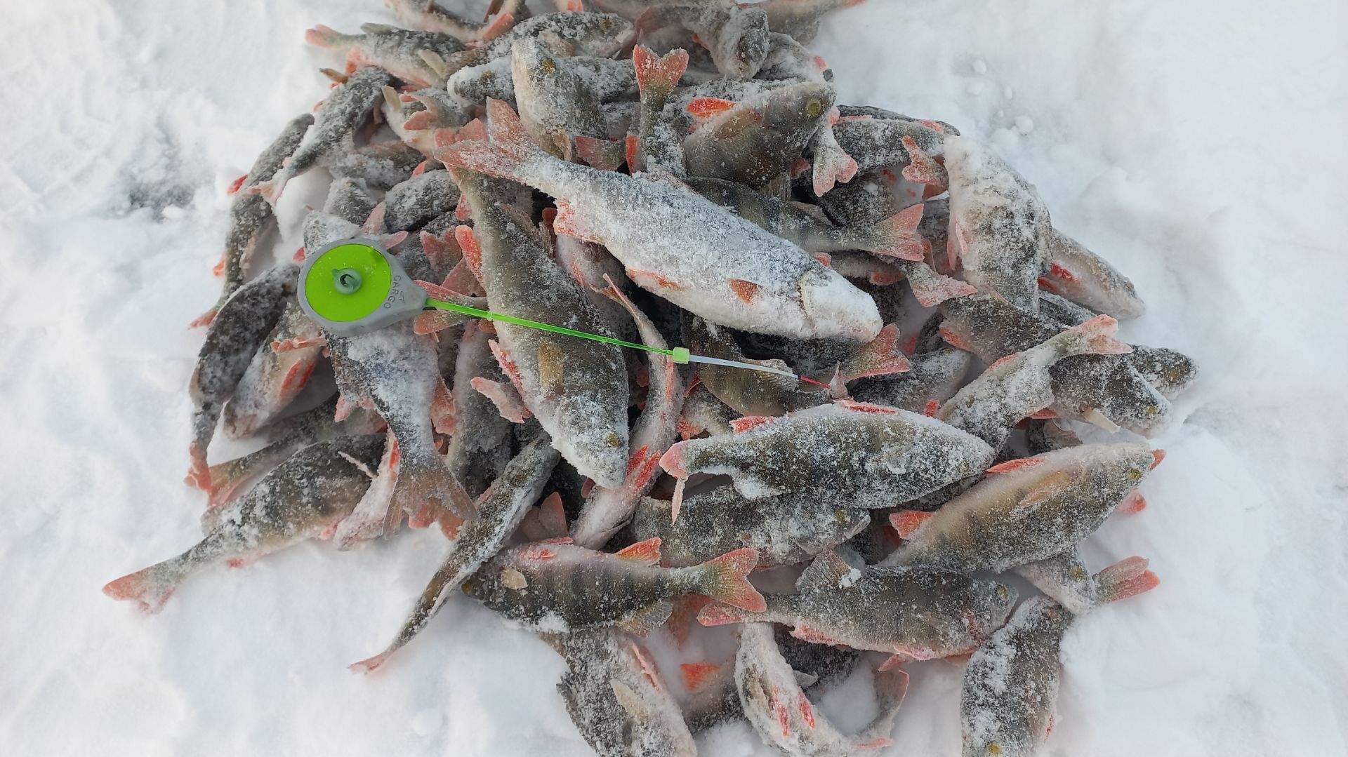 Лодочная рулит!!!