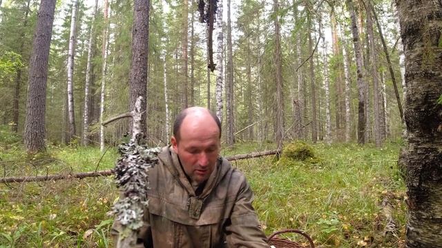 Какой он? Настоящий мокрый груздь! Как отличить мокрый смотреть онлайн