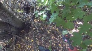 ВСЁ ТАКИ УДАЛОСЬ НАКОПАТЬ. ЛЕСОПОЛОСА С МЕТАЛЛОМ В ПОЛЕ. МЕТАЛЛОКОП