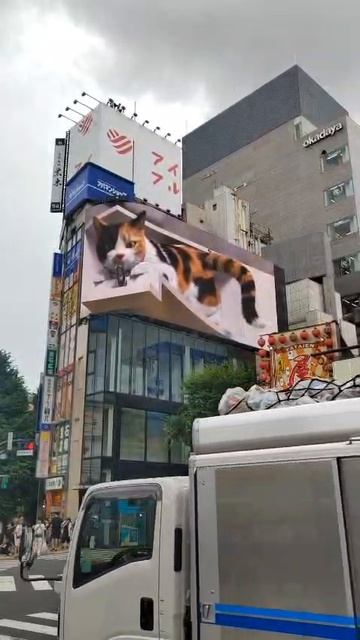 Япония- другая Вселенная!!!