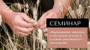 Семинар «Выращивание зерновых и масличных культур в условиях рискованного земледелия»