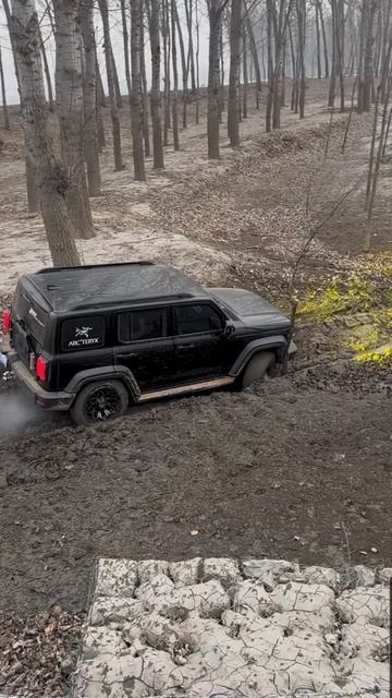 Tank 300 любимчик тракториста #автоизкитая смотреть онлайн