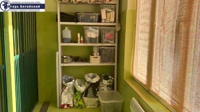 Гостиница для собак. Зоогостиница. Передержка.