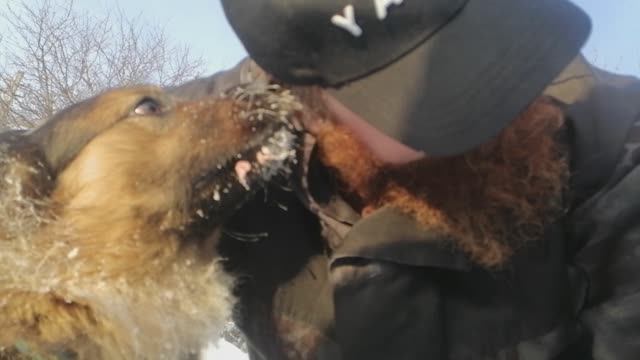 Прогулка с Максимом) смотреть онлайн