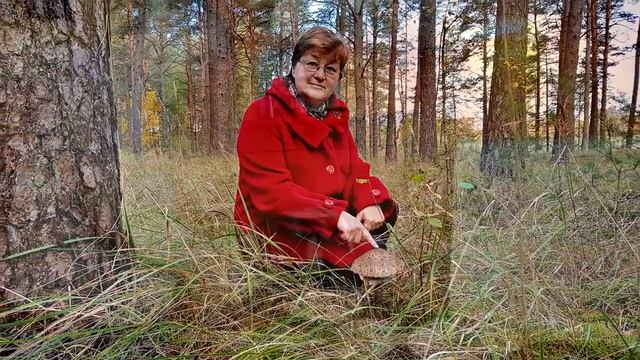 Гриб ЗОНТИК. Лучший рецепт как приготовить деликатес смотреть онлайн